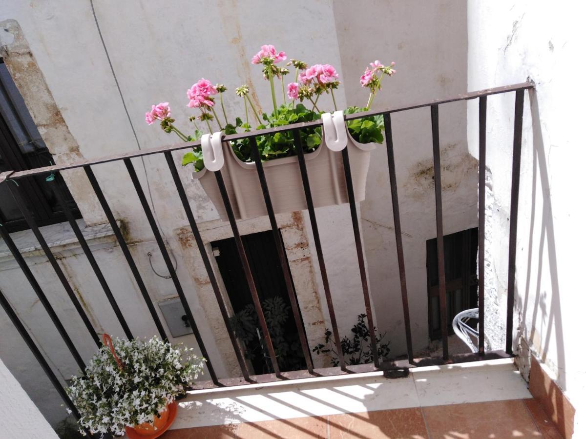 Вилла Rosa'S House Конверсано Экстерьер фото