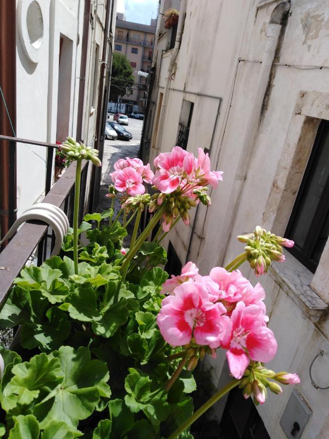 Вилла Rosa'S House Конверсано Экстерьер фото